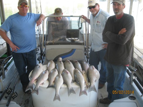 Nice Striped Bass
